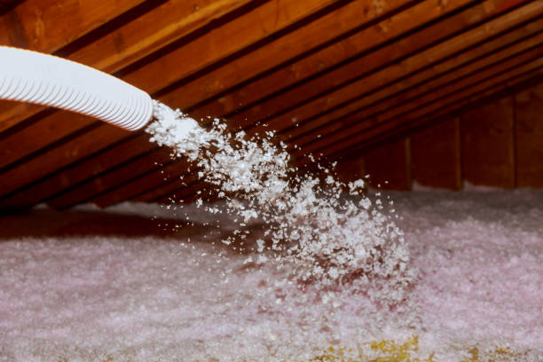 Best Spray Foam Insulation in Grape Creek, TX