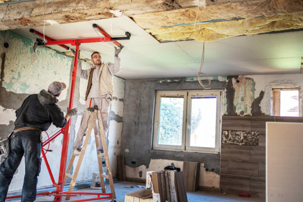 Best Geographic-Specific Insulation Services in Grape Creek, TX